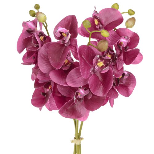Floristik24 Orchidées artificielles fleurs artificielles violettes comme de vraies 56cm 3 pcs
