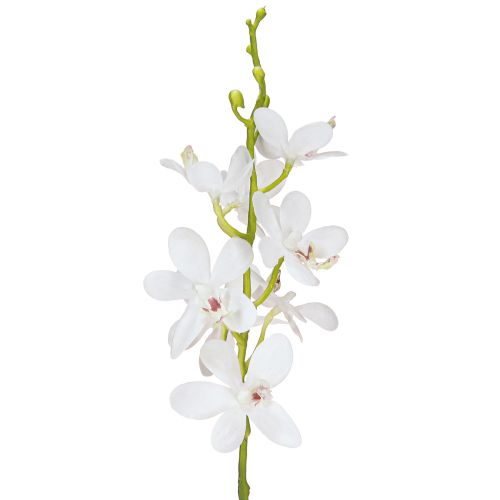 Article Orchidées artificielles fleur blanche Ø3,5–5 cm L38 cm 2 pièces
