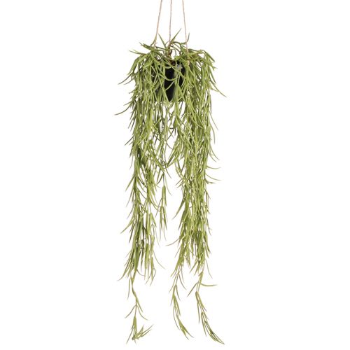 Floristik24 Plante succulente artificielle suspendue en pot noir 60 cm - Décoration d&#39;intérieur durable