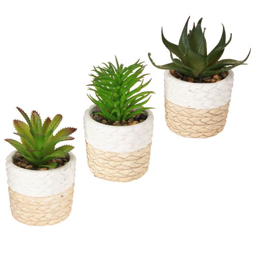 Floristik24 Plantes succulentes artificielles dans un pot en céramique 12,5 cm 3 pièces