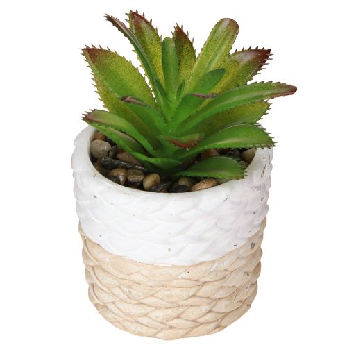 Article Plantes succulentes artificielles dans un pot en céramique 12,5 cm 3 pièces