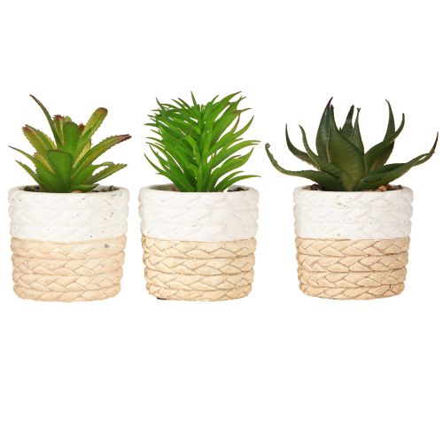 Article Plantes succulentes artificielles dans un pot en céramique 12,5 cm 3 pièces
