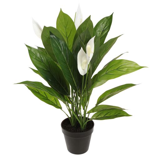 Floristik24 Plante artificielle en pot à une seule feuille, lys de la paix, vert blanc, 55 cm