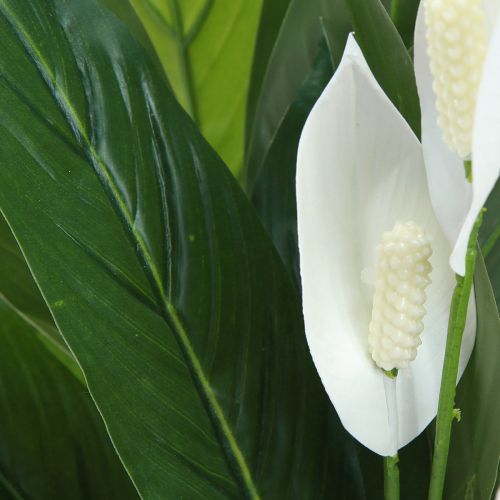 Article Plante artificielle en pot à une seule feuille, lys de la paix, vert blanc, 55 cm