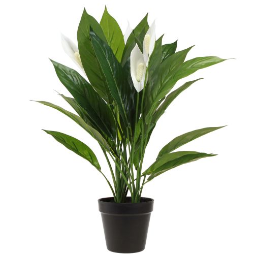 Article Plante artificielle en pot à une seule feuille, lys de la paix, vert blanc, 55 cm