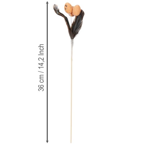 Article Œufs de caille artificiels, plumes décoratives sur bâtonnet, 36 cm, lot de 12