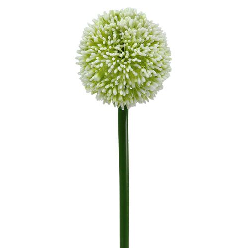 Floristik24 Allium artificiel blanc Ø 10 cm L. 65 cm