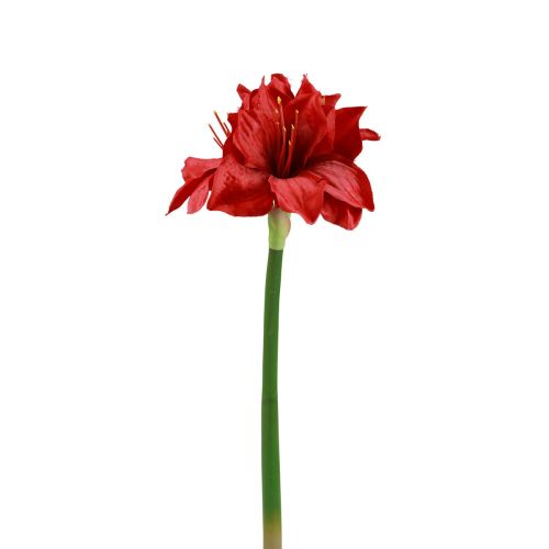 Amaryllis Artificielle Fleurs de Noël Fleurs Artificielles Rouges L40cm