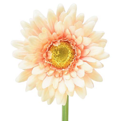 Fleurs artificielles Gerbera Abricot 47cm