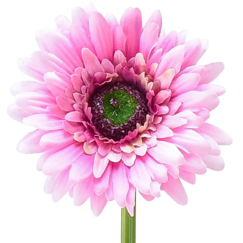 Floristik24 Fleurs artificielles Gerbera rose 47cm