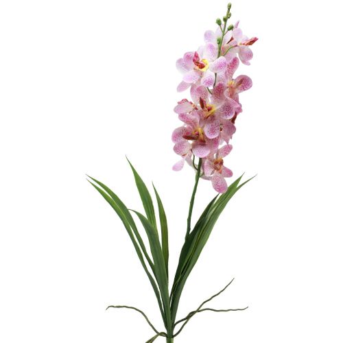 Floristik24 Orchidée Artificielle Orchidée Fleur Artificielle Rose Blanc 73cm