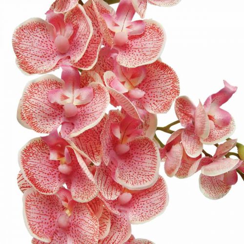 Lot De 20 Fleurs D'Orchidées Artificielles Multicolores | Diamètre 8,5 Cm | Décoration Mariage, Intérieur, DIY