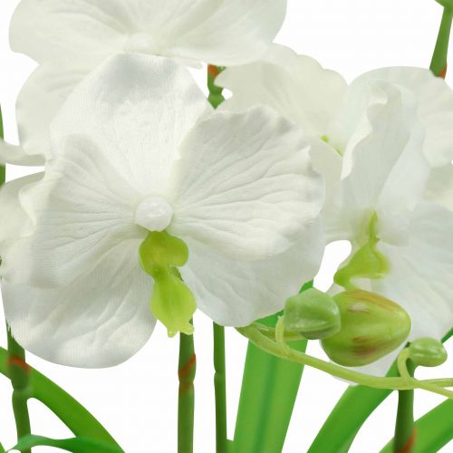 Floristik24 Orchidées artificielles fleurs artificielles en pot blanc 60cm