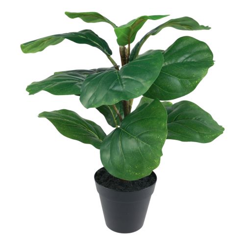 Floristik24 Plante artificielle en pot Ficus plante artificielle en pot 42cm