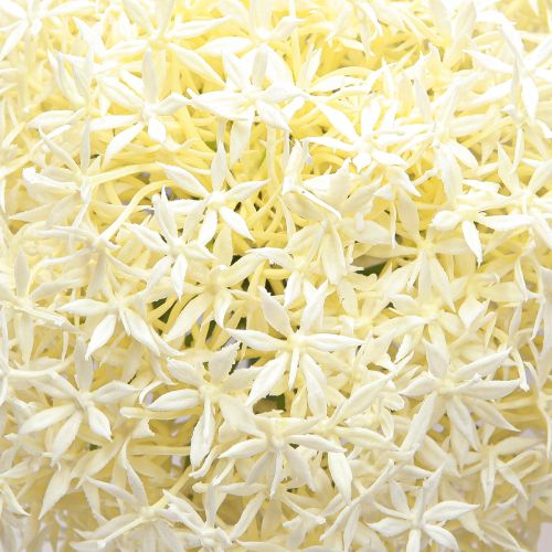 Article Oignon Ornemental Allium Artificiel Blanc Crème Ø18cm L90cm