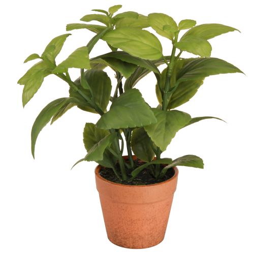 Article Basilic artificiel en pot Pot d&#39;herbes aromatiques Plante artificielle 22 cm 2 pièces