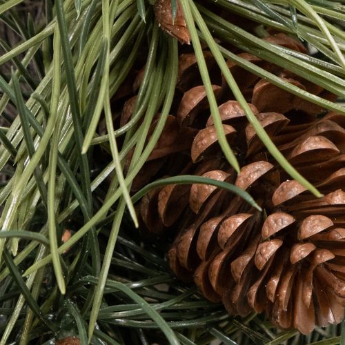 Krantz artificiel branchages de pin et pommes de pin 60 cm vert | Floristik24.fr