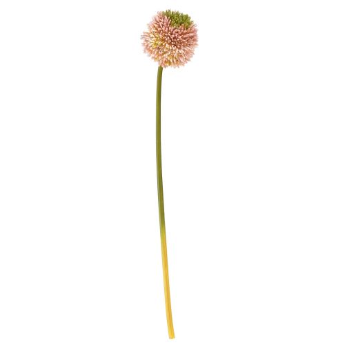 Article Allium artificiel ail ornemental rose vert Ø10cm L65cm