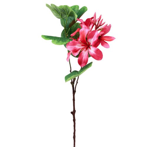 Floristik24 Branche d&#39;orchidée artificielle Bauhinia Plante artificielle rose 62cm