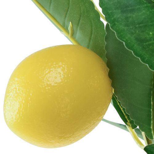 Article Citronnier artificiel en pot Méditerranéen H58cm