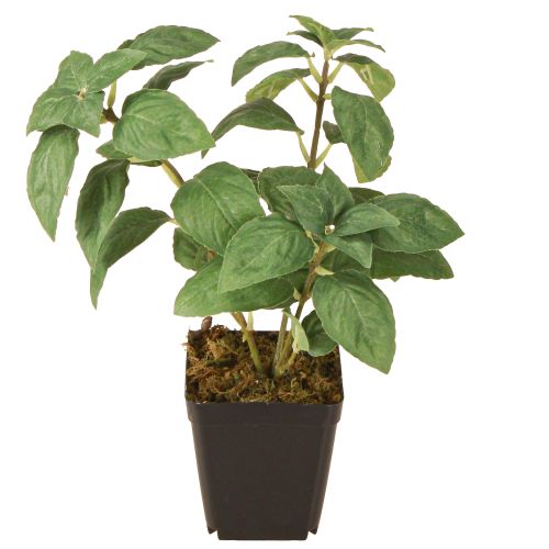 Article Basilic Artificiel en Pot Herbes en Vert H22cm