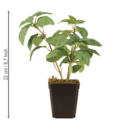 Article Basilic Artificiel en Pot Herbes en Vert H22cm