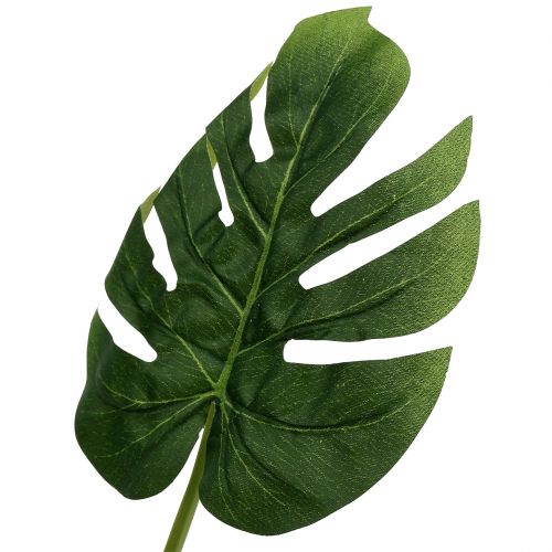 Floristik24 Feuilles de philodendron 18cm Vert 6P