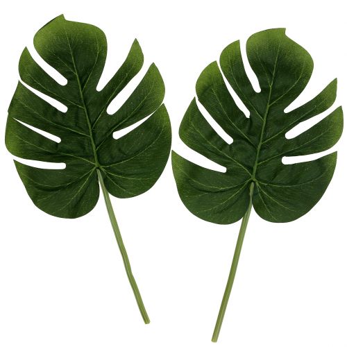 Floristik24 Feuilles de philodendron 18cm Vert 6P