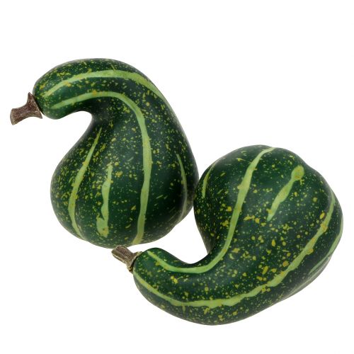 Floristik24 Citrouille décorative artificielle vert foncé 11cm 6 pcs
