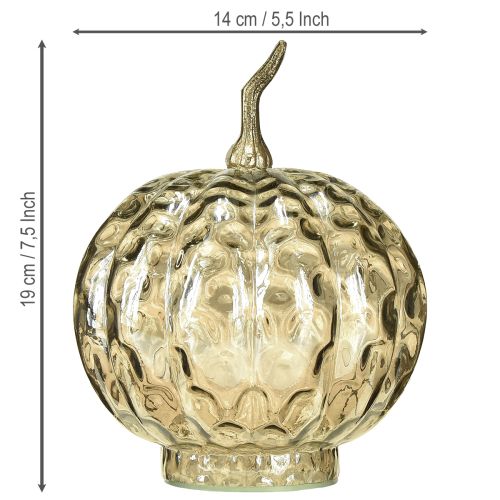 Article Décoration citrouille en verre, décoration de table citrouille en verre, automne Ø14cm H19cm