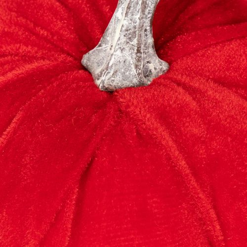 Ensemble de citrouilles en