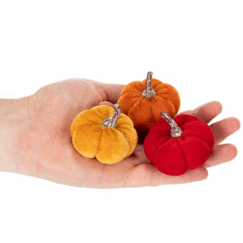 Set de citrouilles décoratives en velours 5 cm, 3 couleurs, lot de 12 pièces | Floristik24.fr