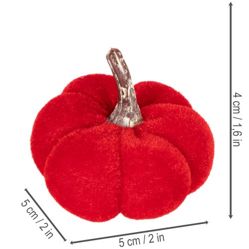 Set de citrouilles décoratives en velours 5 cm, 3 couleurs, lot de 12 pièces | Floristik24.fr
