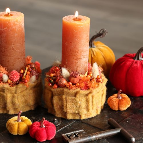 Set de citrouilles décoratives en velours 5 cm, 3 couleurs, lot de 12 pièces | Floristik24.fr