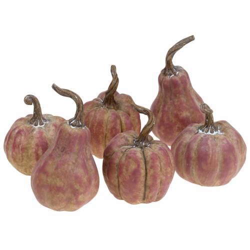 Article Set mini citrouilles orange, lilas Ø6,5–7cm 6 pièces