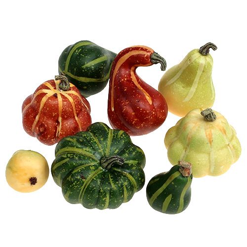 Floristik24 Assortiment de citrouilles dans le filet 12pcs