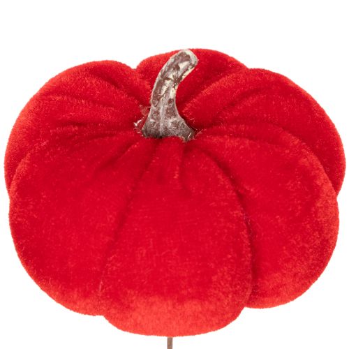 Décoration citrouilles en