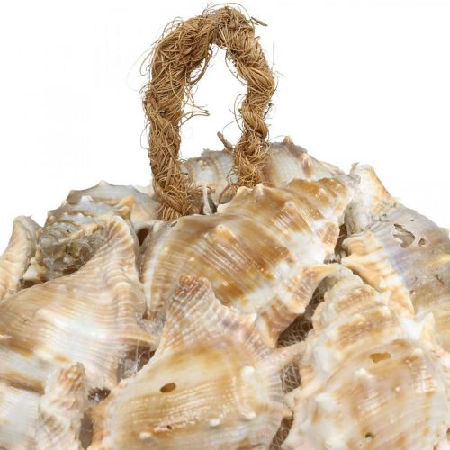 Article Boule déco coquilles d&#39;escargots coquillages déco à suspendre nature Ø12cm