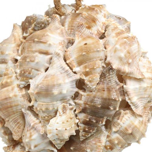 Article Boule déco coquilles d&#39;escargots coquillages déco à suspendre nature Ø12cm