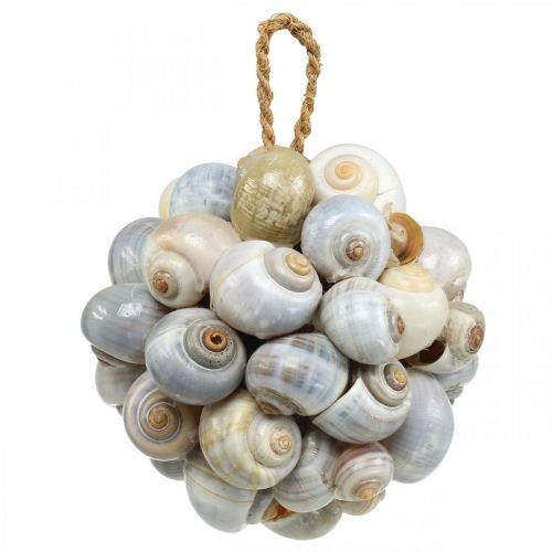 Floristik24 Boule de décoration maritime boule d&#39;escargot de mer décoration naturelle Ø12cm