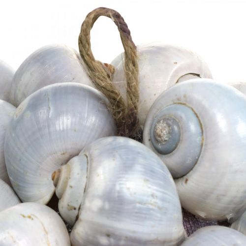 Article Boule décorative coquillage escargots de mer boule décoration naturelle maritime Ø19cm