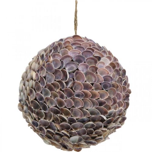 Floristik24 Boule déco coquillages boule coquillage grande décoration Maritime Ø25cm