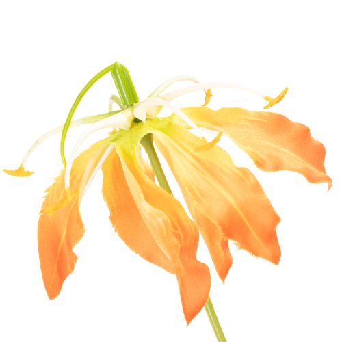 Kunstblume Gloriosa orange, 80 cm, 3 tiges en soie | Floristik24.fr