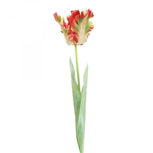 Floristik24 Fleur artificielle, tulipe perroquet rouge jaune, fleur de printemps 69cm