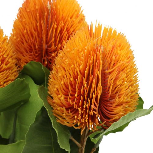 Floristik24 Fleurs artificielles, Banksia, Proteaceae Orange L58cm H6cm 3 pcs
