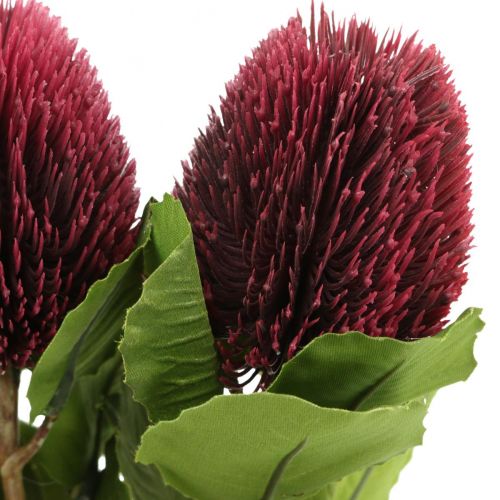 Floristik24 Fleurs artificielles, Banksia, Proteaceae rouge vin L58cm H6cm 3pcs