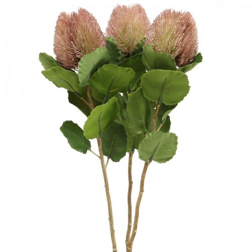 Article Banksia Proteaceae Artificiel Blanc-Violet L58cm H6cm 3pcs