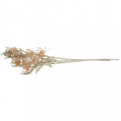 Floristik24 Fleurs Artificielles, Fleur en Coussinet, Leucospermum, Proteaceae Blanc Lavé L58cm 3pcs