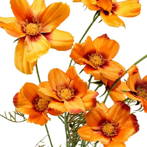 Article Fleurs artificielles Cosmea Orange panier à bijoux H51cm 3 pcs