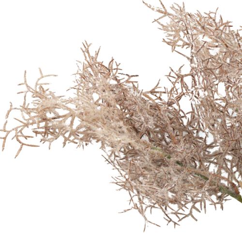 Décoration fleurs artificielles, branche de corail, branches décoratives blanc marron 40cm 4pcs
